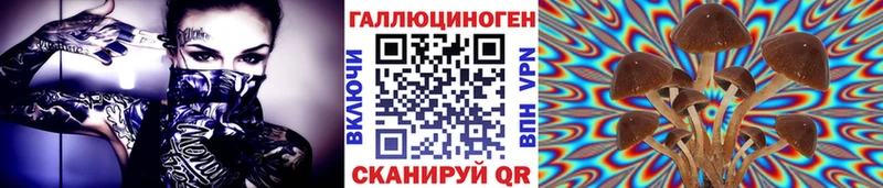 MEGA ссылки  Белозерск  Псилоцибиновые грибы прущие грибы 